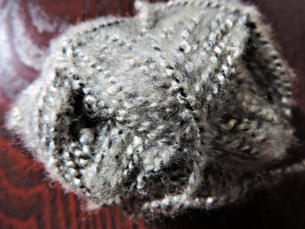 一束。特写镜头。图片下载