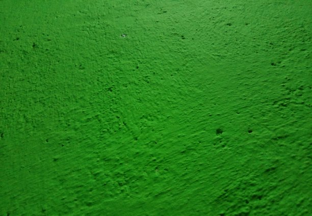 绿墙的表面是多孔的图片下载