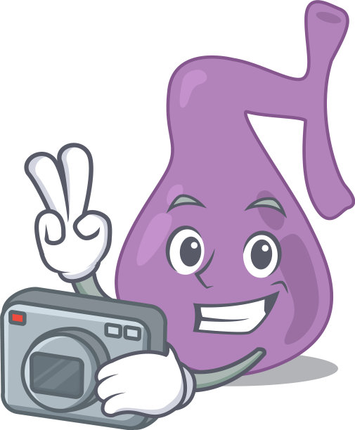 一个专业摄影师胆囊漫画图片下载