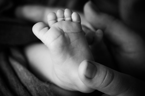 孩子的脚在爸爸妈妈的手里白白的。母亲，父亲和新生儿。幸福家庭的人观念。黑色和白色。图片下载