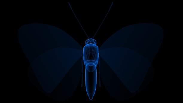 蓝色蝴蝶在黑色的背景3d渲染图片下载