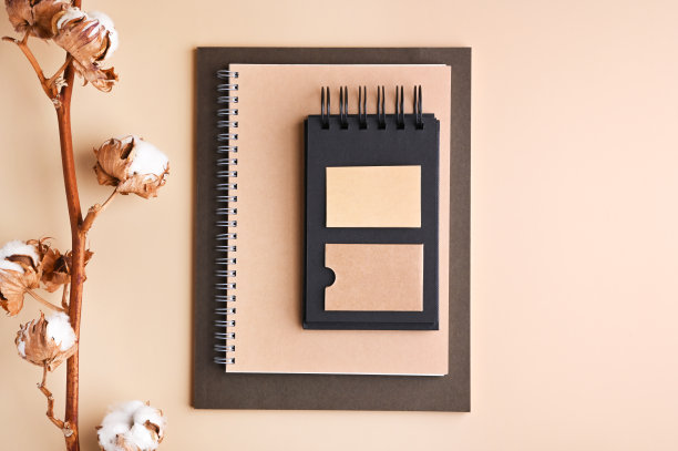 品牌模型与许多牛皮纸图片下载