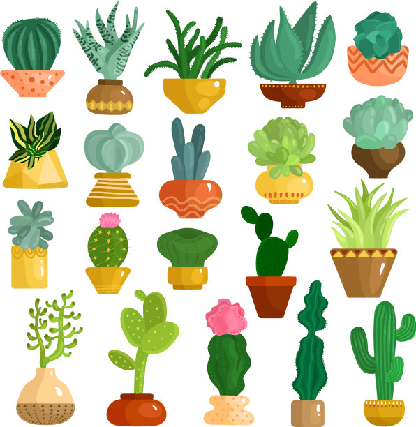 仙人掌多肉植物盆栽图片下载