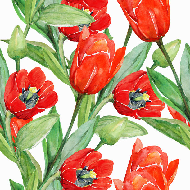 郁金香图案图片下载