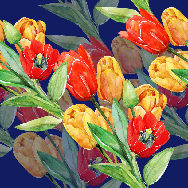 郁金香图案图片下载