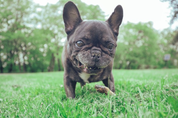 下午很有趣图片下载