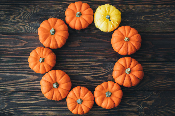 秋季的小型装饰南瓜在一张木桌上的构图。图片下载