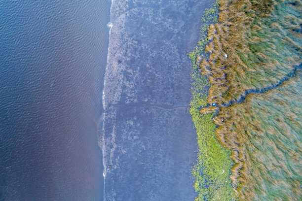 俯瞰佛罗里达沼泽到河流过渡图片下载