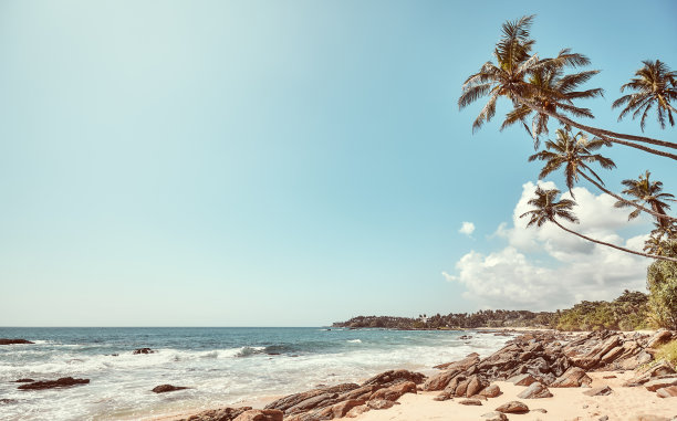 在一个阳光明媚的夏天，斯里兰卡热带海滩的复古色调的图片。图片下载