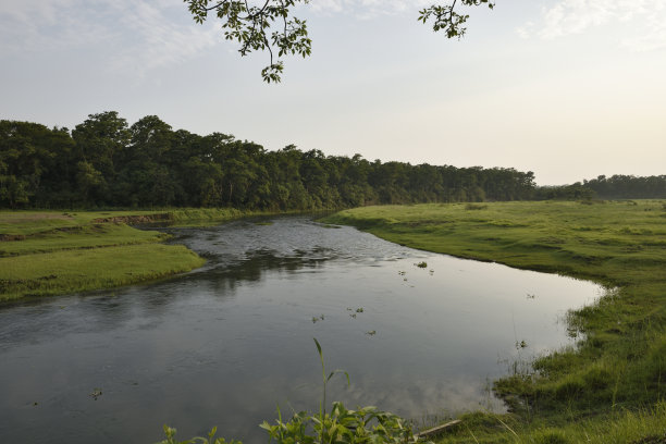 奇旺国家公园景观，尼泊尔图片下载