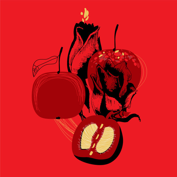 苹果水果和玫瑰红色和黑色的艺术图片下载