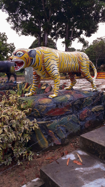 虎年十二生肖，象征中国动物。图片下载