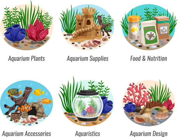 水族馆的作品集合图片下载