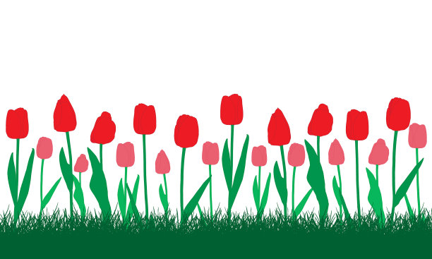 红色和粉色的郁金香在草丛中盛开图片下载