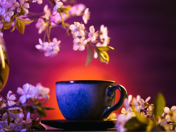 春天五彩亮丽的静物，一杯咖啡或茶，盛开的树枝上的白色樱桃与时尚的颜色，复制空间图片下载