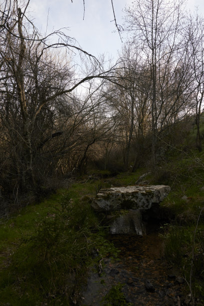 西班牙塞戈维亚塞吉拉河上的工匠石桥图片下载