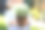 小女孩手持花园铲，手里拿着绿色植物幼苗的特写镜头。可爱的孩子学习园艺，在家里的花园里种植蔬菜和草药。生态、有机食品。图片下载