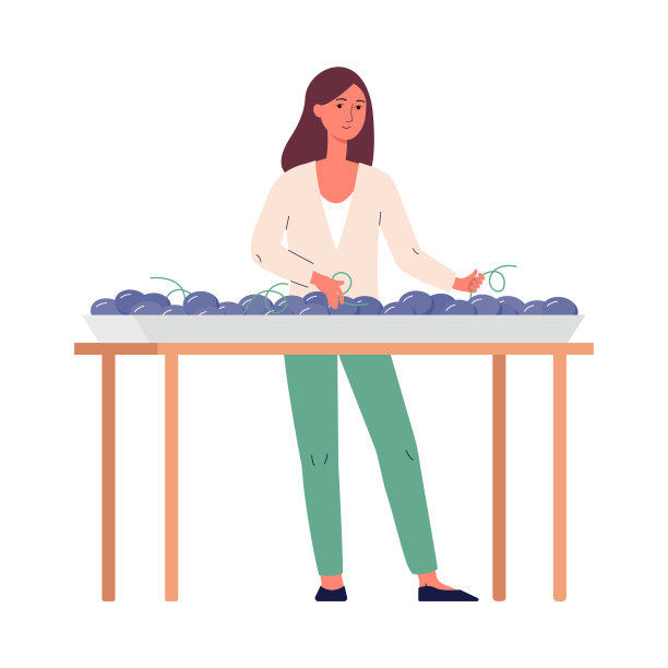 女人挑选葡萄酿酒，平面矢量插图孤立在白色。图片下载