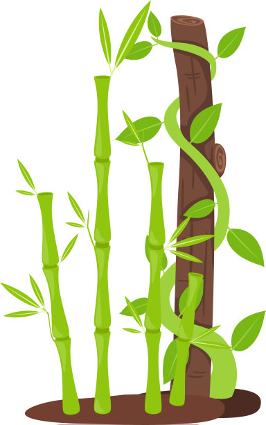 竹子图片下载