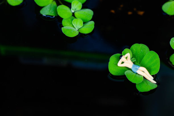 男人在大绿叶上休息图片下载