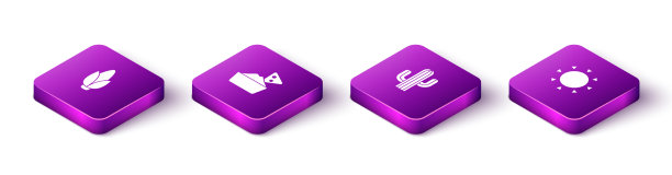 把等距的玉米片放在碗里的仙人掌和阳光下图片下载