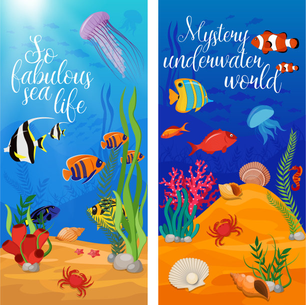 海洋生物，动物，植物旗帜设置图片下载