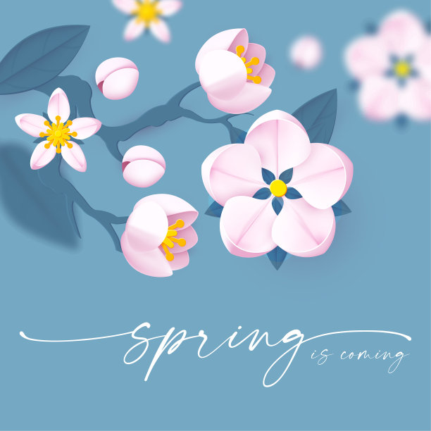 春天的背景有柔软的花朵和蜜蜂图片下载