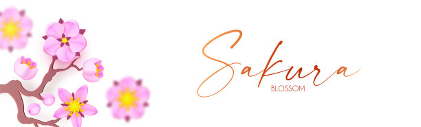 樱花盛开可爱的粉红色樱花日本图片下载