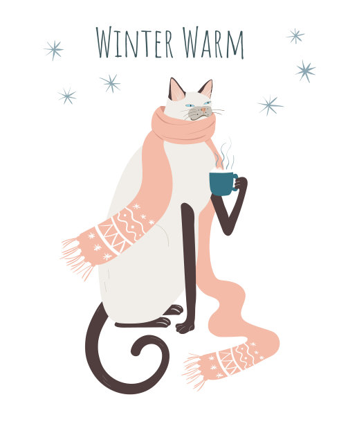 可爱的猫在围巾与一杯咖啡隔离图片下载