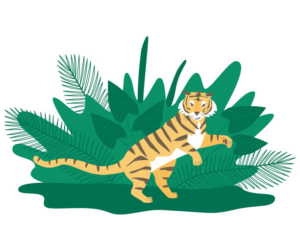 微笑的老虎用后腿站立图片下载