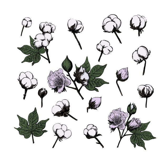 黑色设置素描棉花在复古风格图片下载