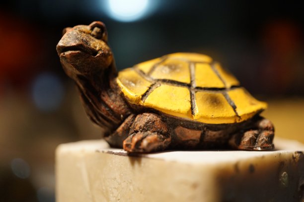 小花园乌龟雕像图片下载