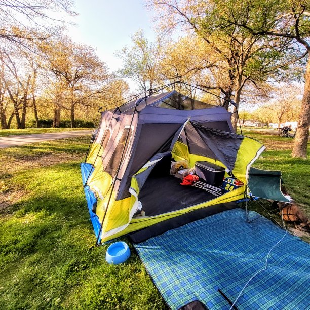 耶,露营!图片下载