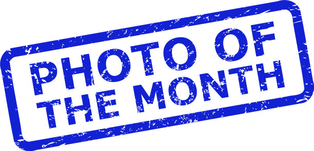 不洁风格的当月邮票照片图片下载