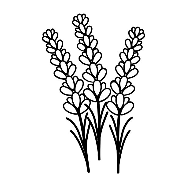 薰衣草花花卉手绘设计标志图片下载