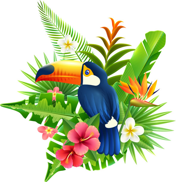 热带花卉图片下载