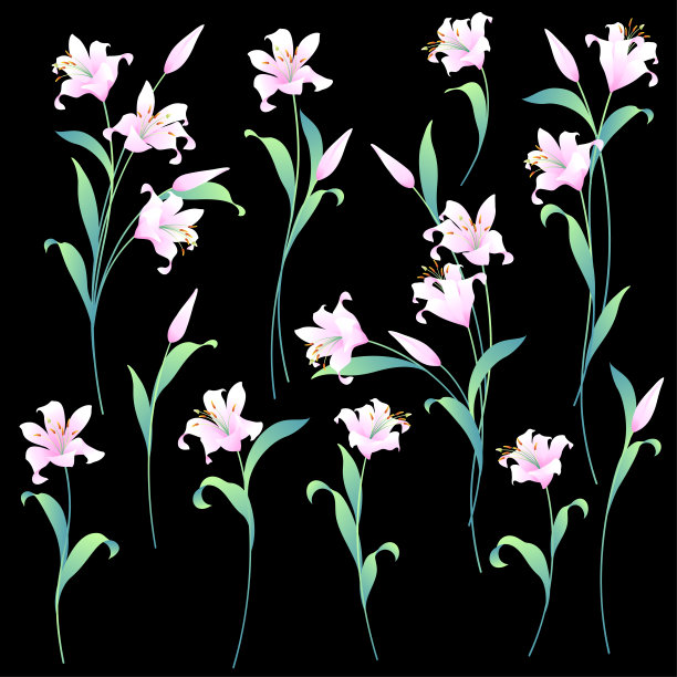 日本百合插画素材收集，图片下载