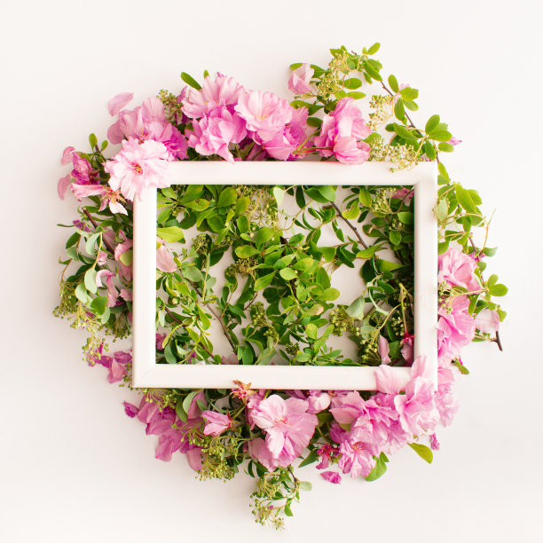 色彩缤纷的夏季概念与亮粉色的花，绿色的叶子和白色的框架。极简的平面自然构成。图片下载