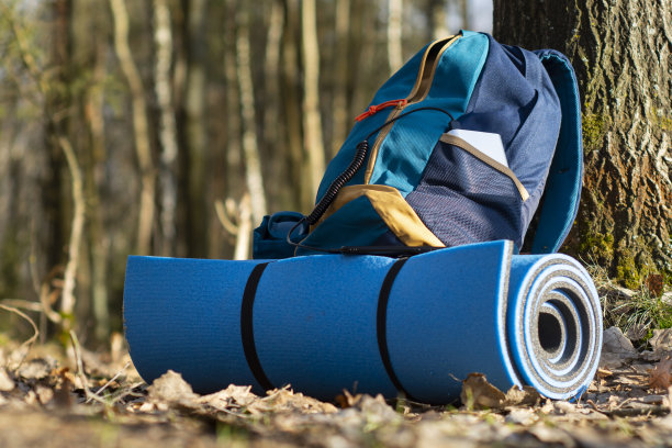 便携式旅行充电器。动力银行在旅行袋和森林的背景下为智能手机充电。关于旅游主题的概念。图片下载