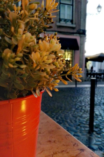 Alfama喝图片下载