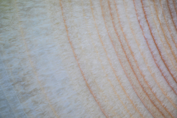 带有彩色纹理的大理石板纹理图片下载