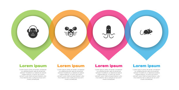 设猴鼠头章鱼和商图片下载