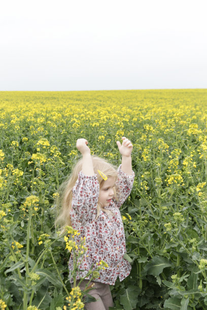 户外偷拍的照片可爱的金发女孩在黄花的田野。图片下载