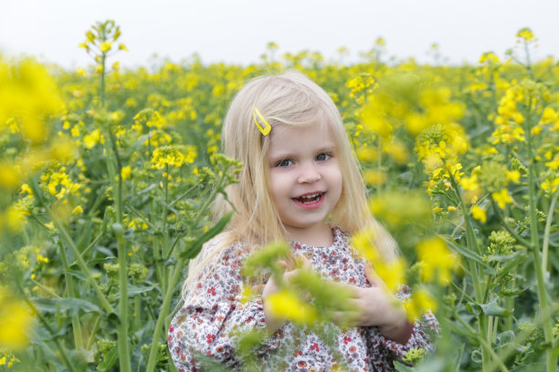 户外偷拍的照片可爱的金发女孩在黄花的田野。图片下载