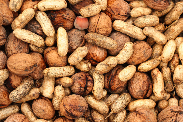 以生花生和核桃为背景，倡导健康饮食理念图片下载