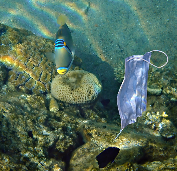 废弃的防护面具挂在红海的珊瑚礁上图片下载