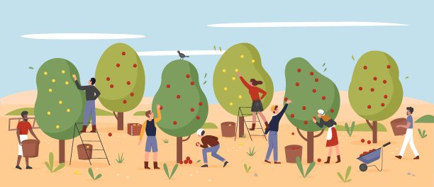 人们工作，农民摘苹果在秋天的农场花园，农业工人收获图片下载