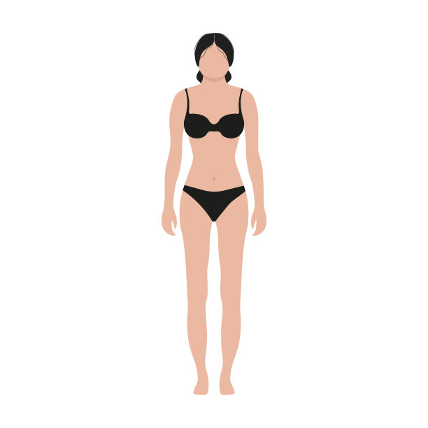 女性的身体形状。平面设计。矢量图图片下载