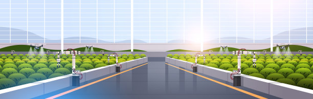 农业无人机喷雾器四架直升机飞行喷洒化肥的温室智能农业创新图片下载