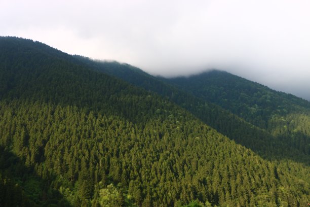 艾德高原上雾蒙蒙的松山图片下载